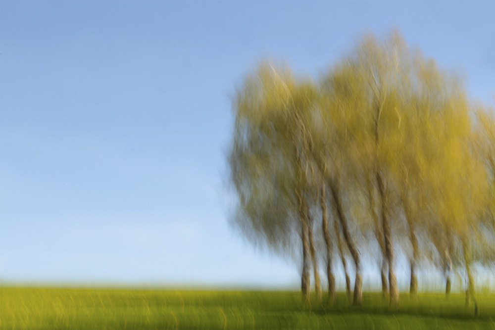 12. Platz Daniela Korn